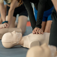 logisitica i magatzem