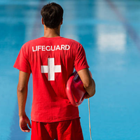 logisitica i magatzem